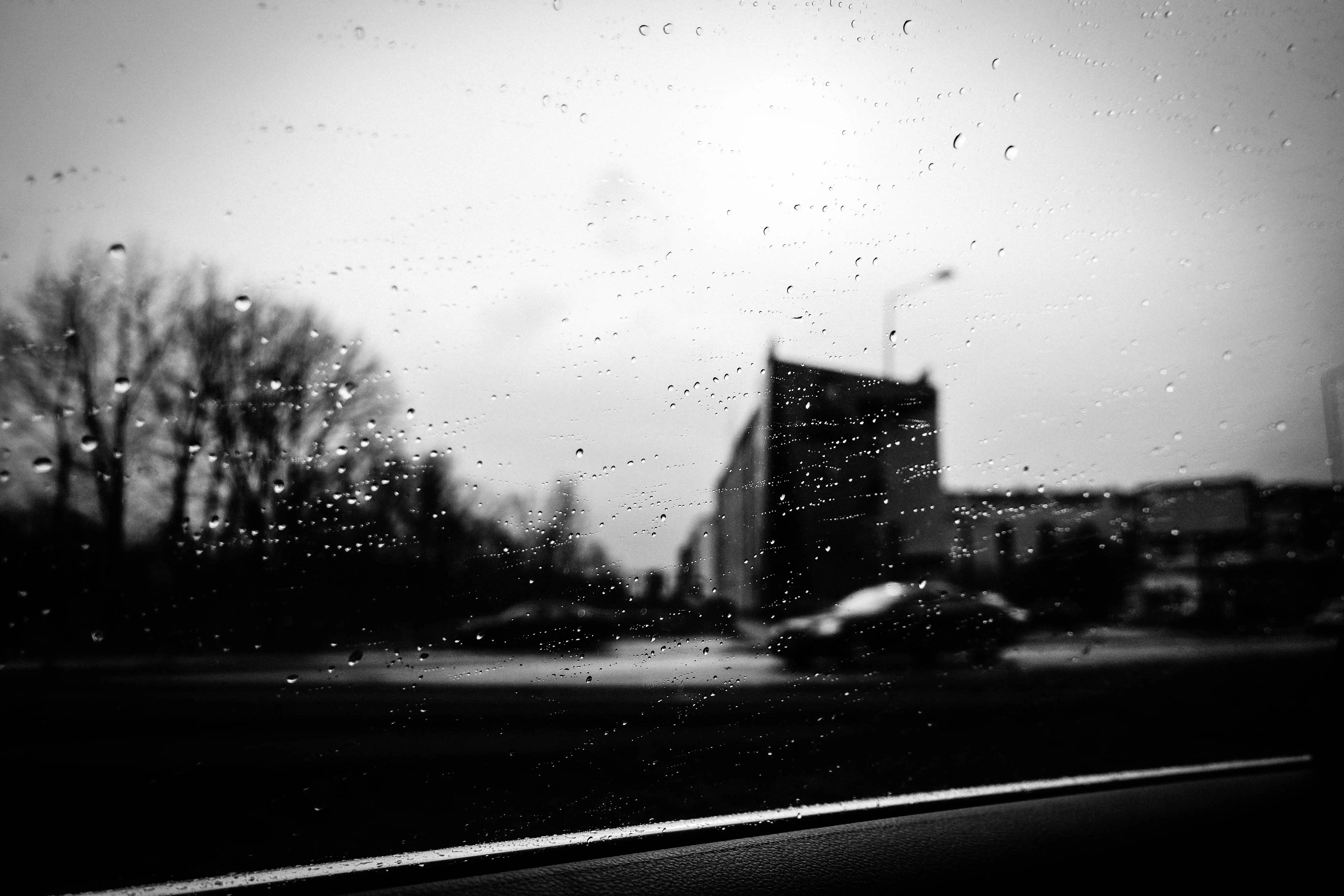 Fantazja — photographie 11, Pologne, noir et blanc