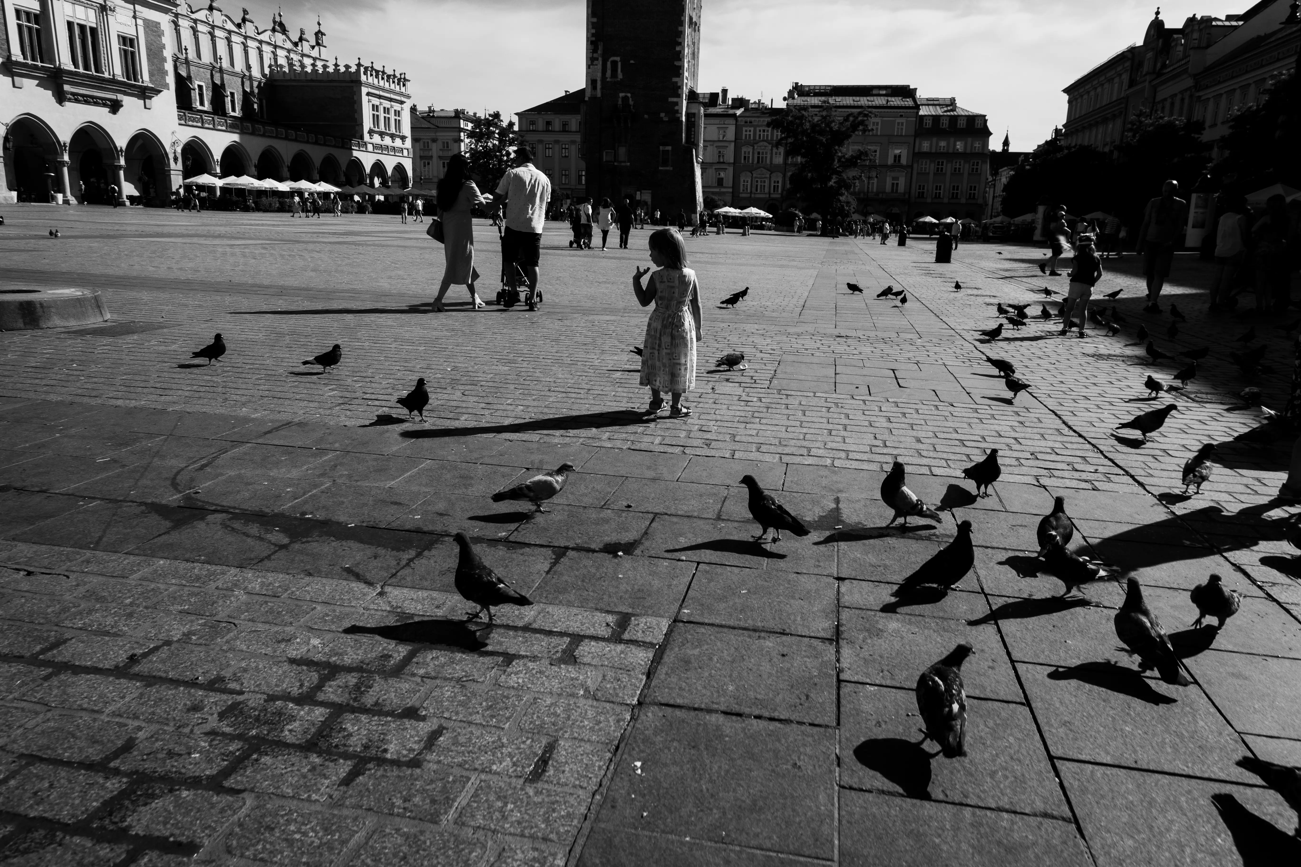 Fantazja — photographie 13, Pologne, noir et blanc
