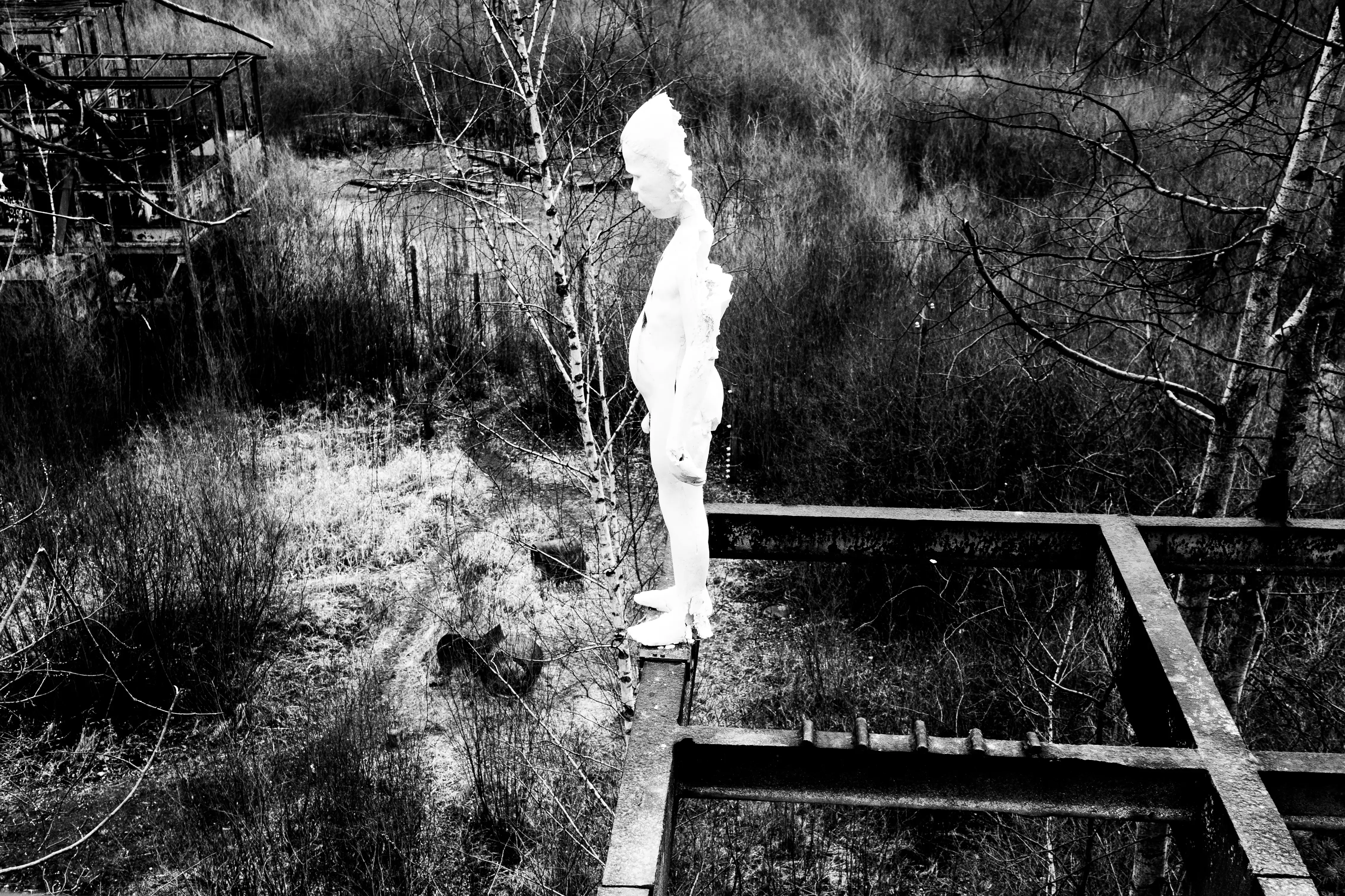 Fantazja — photographie 15, Pologne, noir et blanc
