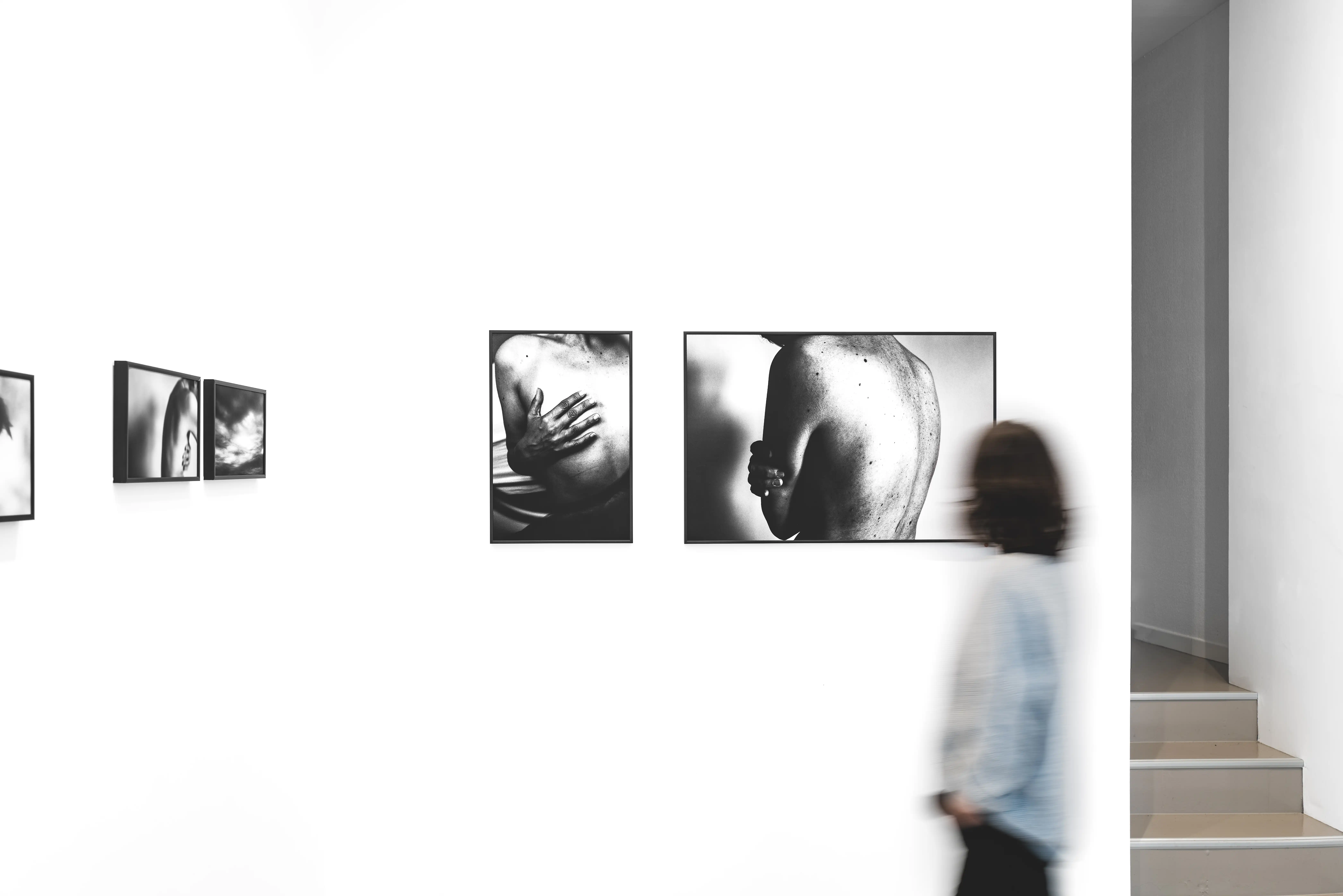 Expositions — Le travail montré